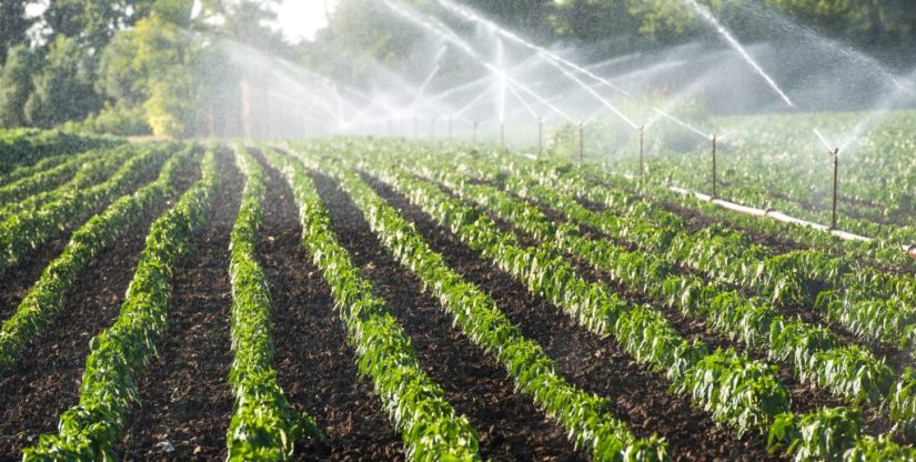دستگاه تصفیه آب کشاورزی